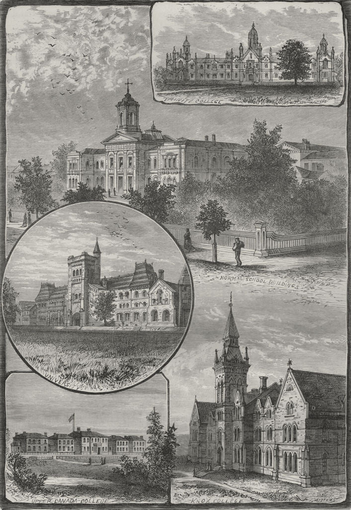 TORONTO COLLEGES. Trinity; University; Upper Canada; Knox; Normal School 1882